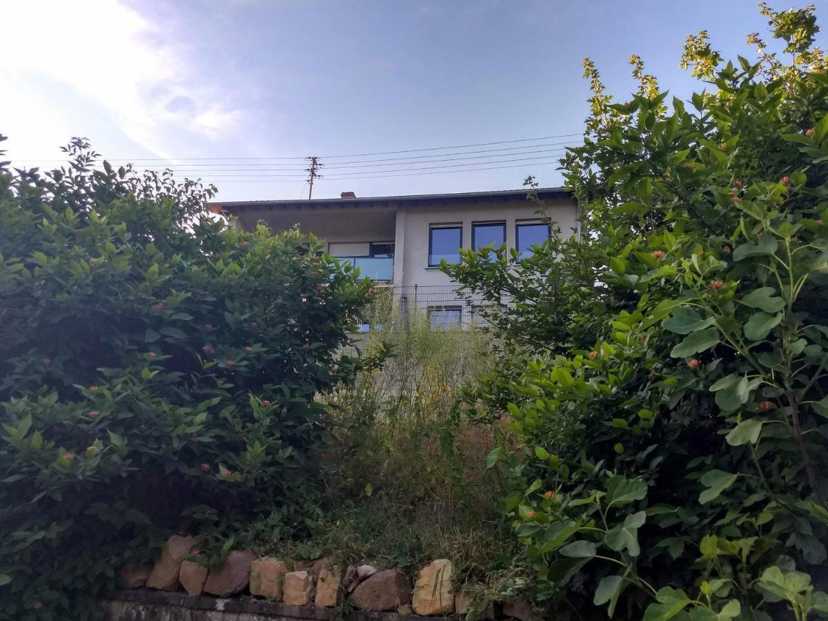 Ferienhaus Fraeulein Frenz Bollendorf Exterior photo